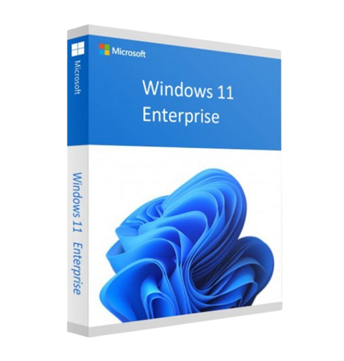 Windows 11 Enterprise Key